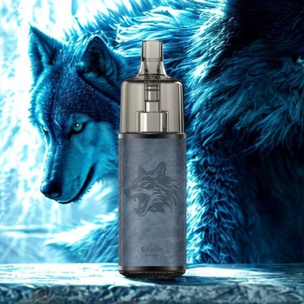 Pack Pod "Leather Edition" Cartouche Changeable - Tornado Skyline by Gobar