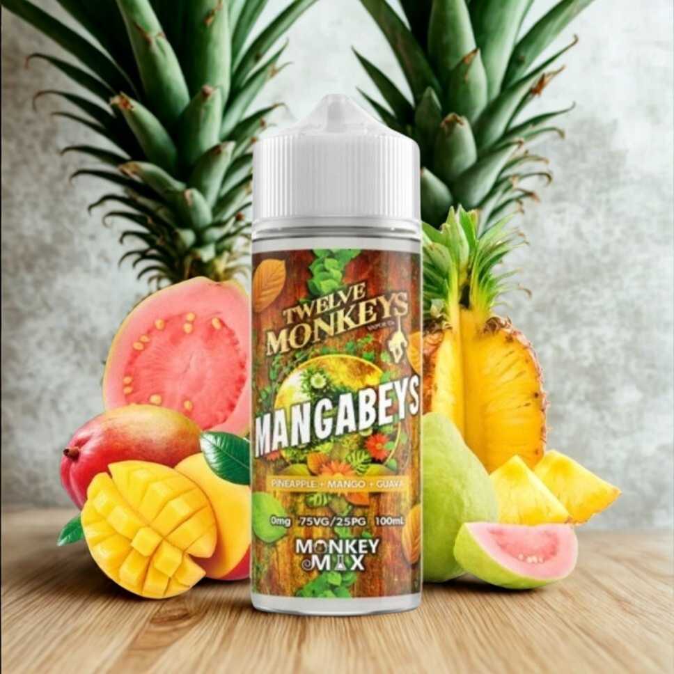 Mangabeys 100ml Monkey Mix - Twelve Monkeys