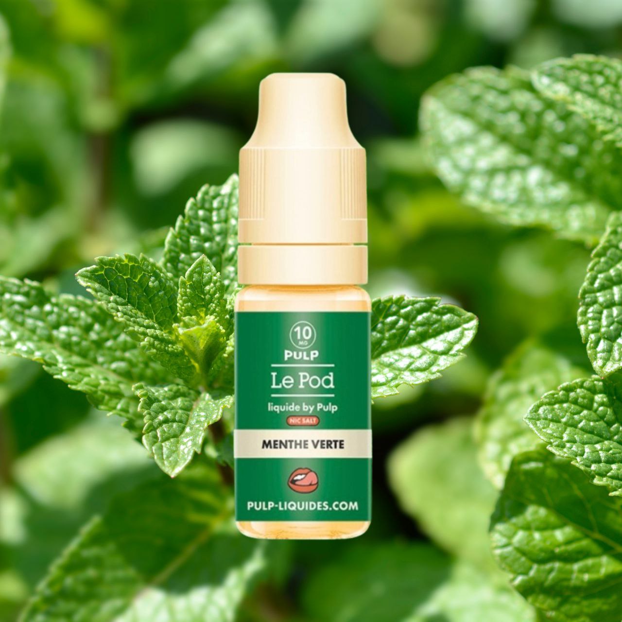 GAMME E-liquide Pulp 10ml