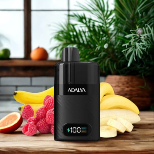 Starter Kit Levo 30K 1000mAh 10ml/2% - Adalya