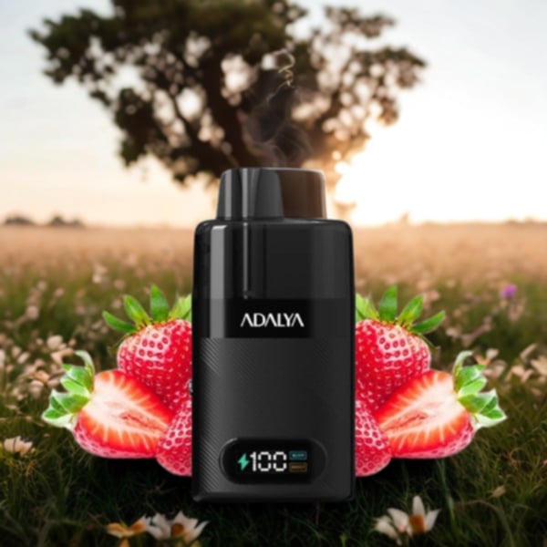 Starter Kit Levo 30K 1000mAh 10ml/2% - Adalya