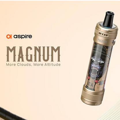 E-CHICHA MAGNUM ASPIRE