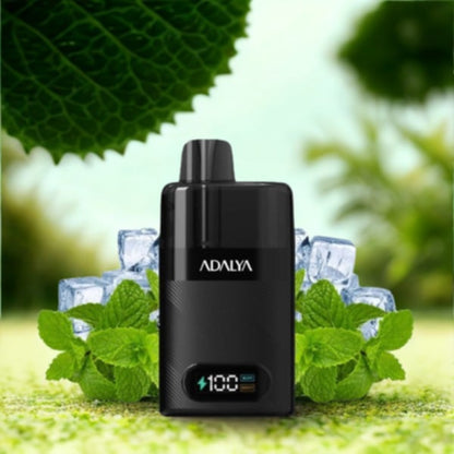 Starter Kit Levo 30K 1000mAh 10ml/2% - Adalya