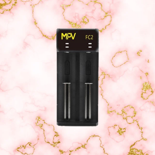 Chargeur Rapide 2 Slots FC2 - Master Pro Vape