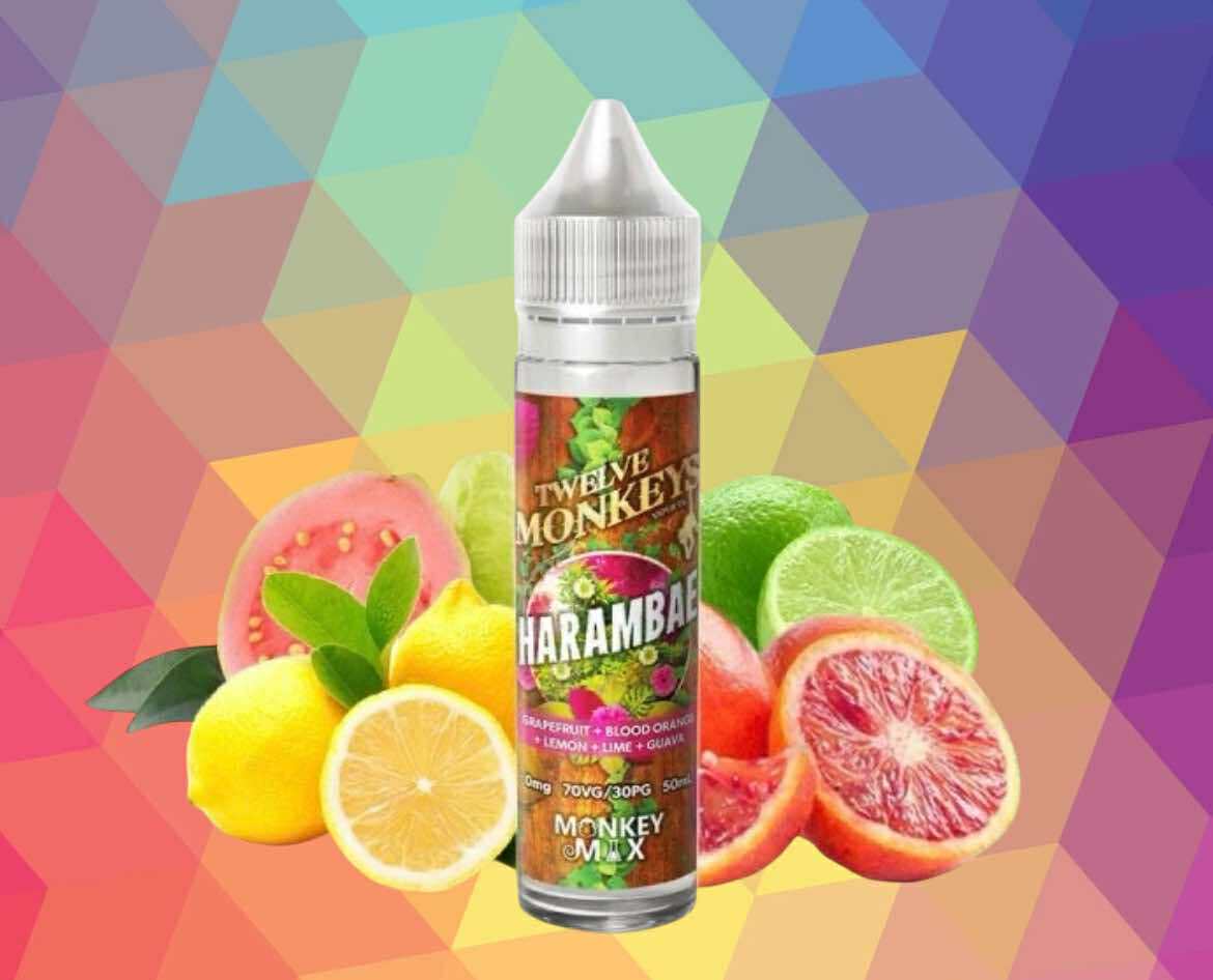 Harambae 0mg 50ml - Twelve Monkeys