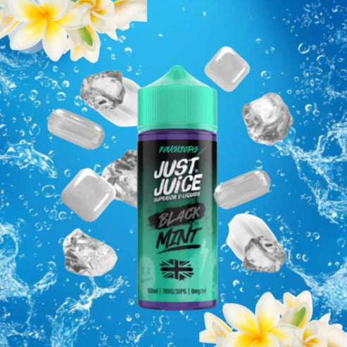 Black 100ml - Mint By Just Juice