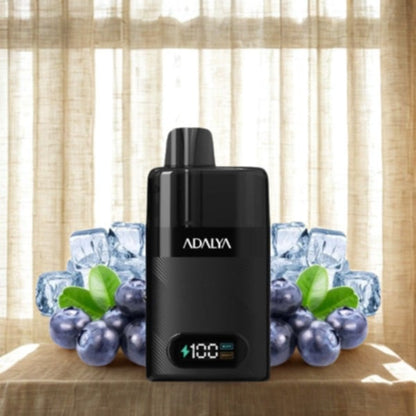 Starter Kit Levo 30K 1000mAh 10ml/2% - Adalya