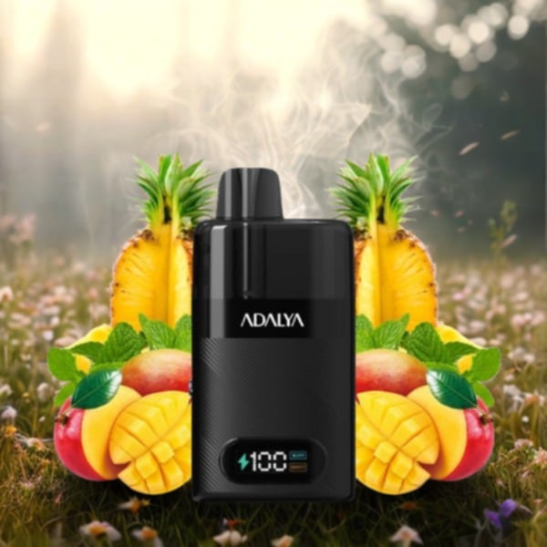 Starter Kit Levo 30K 1000mAh 10ml/2% - Adalya