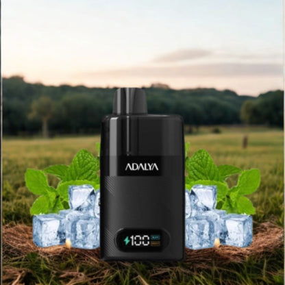 Starter Kit Levo 30K 1000mAh 10ml/2% - Adalya