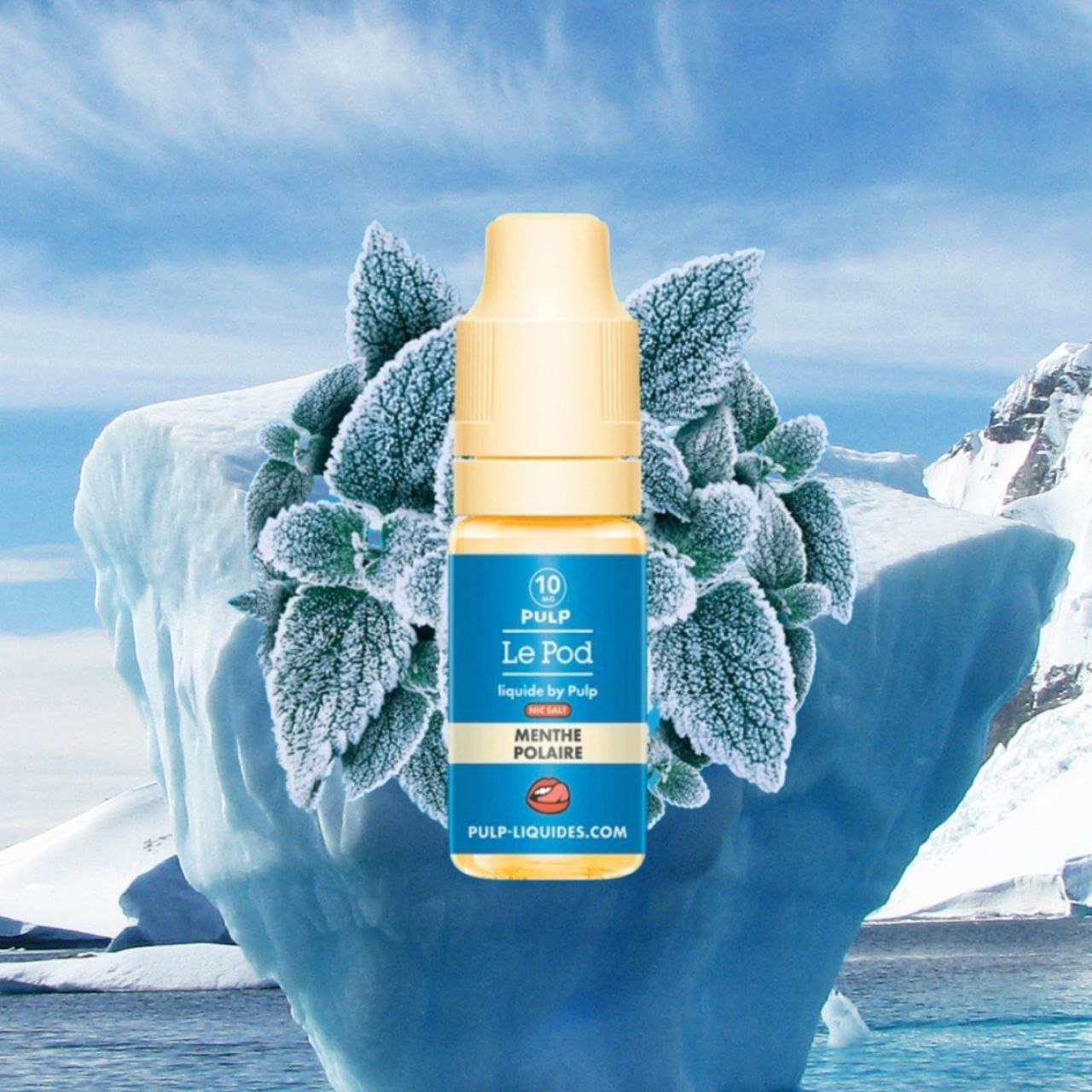 GAMME E-liquide Pulp 10ml