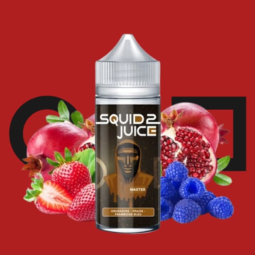 Master - Squid Juice 2 100ml