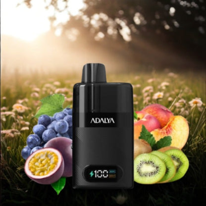 Starter Kit Levo 30K 1000mAh 10ml/2% - Adalya