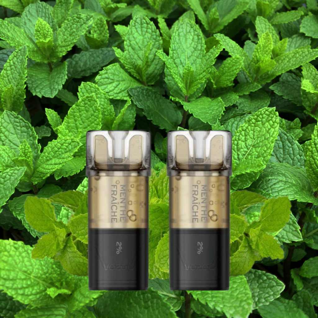 Cartouche Pré-remplie Switch Pro  2ml (2pcs) - Vozol